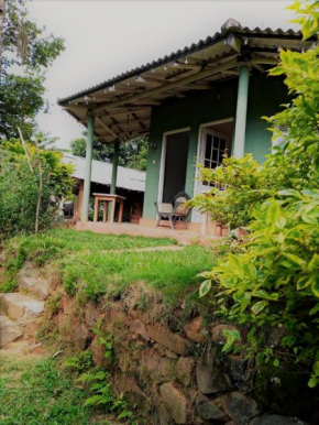 Whiteflowerhomestayella